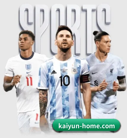 五大服务分区,信息按项目分类